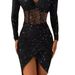Bodycon Sexy Sheer Off-Shoulder Shiny Dress For Women_ecoleips.com