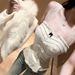 French-style Lace Spliced Bow Contrast Color Camisole Women, Sweet Slimming, Versatile Base Top For Autumn And Winter_ecoleips.com
