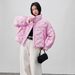Stylish Women's Short Down Jacket With Stand Collar, Lightweight Warm Winter Coat, Street Fashion Outerwear For Petite & Casual Wear_ecoleips.com