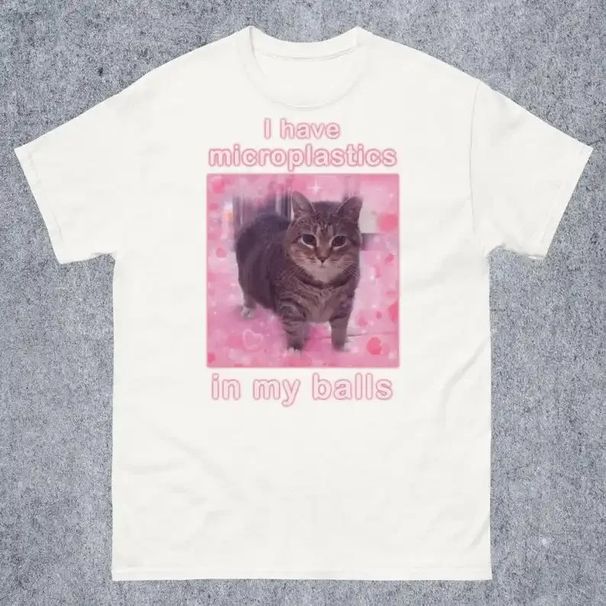 I Have Microplastics In My Balls Funny Cat Meme T-shirt Gift For Women Ironic Cats Shirt Stupid Silly Gifts Goofy Ahh Cat Tee_ecoleips.com
