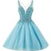 Women's Clothing Evening Dress Short Temperament Banquet Stage Performance Small Dress Daily Wear Puffy Skirt New Style_ecoleips.com