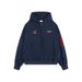 Unisex Vintage Embroidered Hooded Sweatshirt - Streetwear Oversized Pullover With 3D Embroidery, Cotton Blend Comfort_ecoleips.com