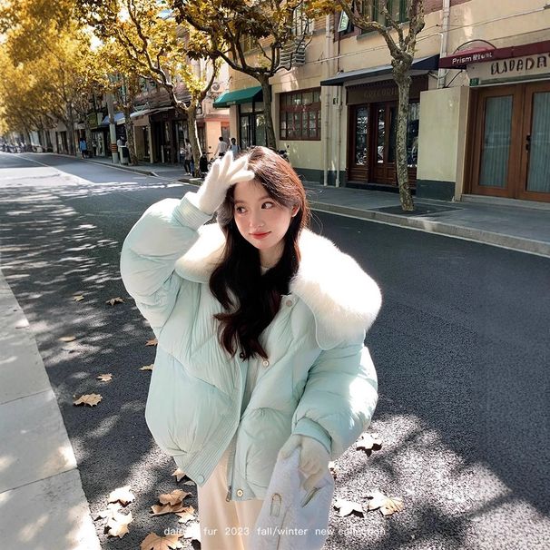 girl Girl 2025 New White Duck Short Down Jacket For Women, Elegant Sweet Warm Solid Color With Fur Collar And Long Sleeves_ecoleips.com