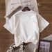 Women's Oversized Brushed Milk Silk Tee Soft Feel round Neck Short Sleeve Top Versatile Street Style Foundation_ecoleips.com