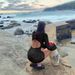 Solid Color Crochet Backless Long Sleeved Cover Up Sweater Beach Dress Sexy Hollow Out Women's Clothing_ecoleips.com