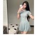 Modest Light Gray Short Sleeve One Piece Swimsuit With Zipper Front Flared Skirt Bottom Athletic Swimwear For Beach Pool_ecoleips.com