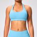 Women's Clothing Halter Neck Beautiful Back Sports Bra High Elastic Matte Nylon Large Backless Yoga Top Bra For Women_ecoleips.com