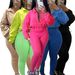 Women's Casual Two-Piece Set Zip-Up Elastic Waist Trousers Oversized Long Sleeve Top Work-to-Weekend Polyester Blend_ecoleips.com
