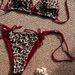 Leopard Print Color Block Two Piece Swimsuit High End Beach Bikini for Women Lace up Design European And American Style Hot Spring Swimwear 2026_ecoleips.com