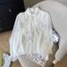 Women's Clothing Spring Style Court Chiffon Blouse For Women Ruffled Trim Elegant Unique Shirt For Formal & Casual For Women_ecoleips.com