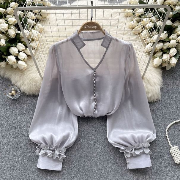 French Court Style High-End Mesh Blouse for Women with Satin Design Ribbon Long Sleeves Unique And Beautiful Autumn Top_ecoleips.com