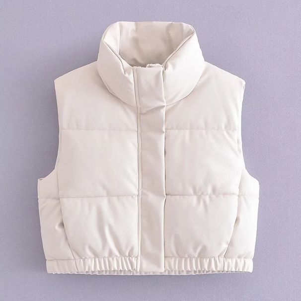 Women's clothing ins stand collar PU lint cotton vest for women autumn new fashion coat vest A764519_ecoleips.com