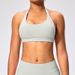 Women's Clothing Halter Neck Beautiful Back Sports Bra High Elastic Matte Nylon Large Backless Yoga Top Bra For Women_ecoleips.com