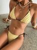 Women's Push up Bikini Set Small Bust 2 Piece Beach Swimwear European American Style Hot Spring Vacation Sexy Wire Free Polyester Nylon_ecoleips.com