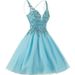 Women's Clothing Evening Dress Short Temperament Banquet Stage Performance Small Dress Daily Wear Puffy Skirt New Style_ecoleips.com
