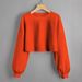 2026 European American Cross-border Independent Site Autumn And Winter New Loose-fitting Short Round-neck Solid_ecoleips.com