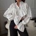 New Spring/Summer Women's Elegant Lace Layered Casual Shirt With French Lace Trim Long Sleeves_ecoleips.com