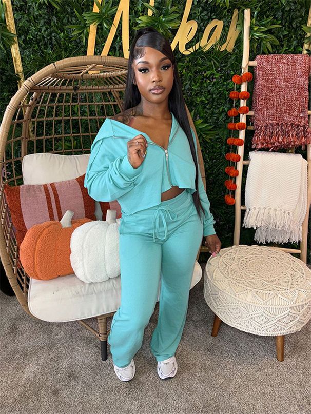 Women's Clothing Women's Casual Long Sleeved Zipper Hooded Top With Pocket Elastic Waist Straight Pants Suit_ecoleips.com