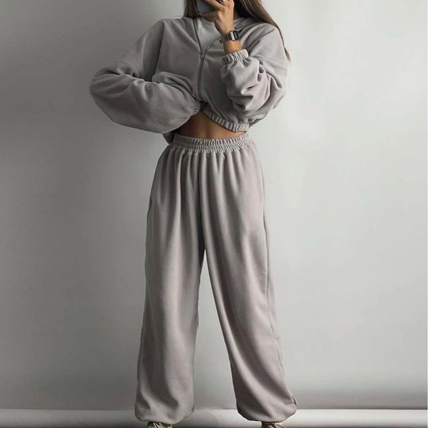 Women's Clothing women's silver fox fleece sweatshirt two piece suit women's stock 1213_ecoleips.com