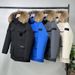 Premium Faux Fur Trim Parka Coat For Men & Women - 650fp Down Filled, Detachable Hood, Water-Resistant Polyester, Winter Warmth_ecoleips.com