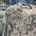 Middle Eastern Foreign Trade Appliqué Beaded High-end Dress For Women, 2025 New Model, Loose-fitting Large Size Party_ecoleips.com