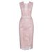 European And American Foreign Trade New Wedding Sexy Lace Slim-fit Bodycon Evening Dress_ecoleips.com