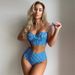 Women's Bikini Swimsuit Sexy European American Style Plaid Two Piece High Waisted Bikini Beach Set_ecoleips.com