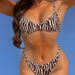 Zebra Print Strapback Bikini Swimsuit Set Women's Sexy Cross Border European American Style No Padded 206_ecoleips.com