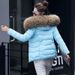 Women's Clothing New Down Cotton Jacket Women's Short Autumn And Winter Women's Cotton Coat Large Fur Collar Cotton Jacket_ecoleips.com