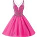 Women's Clothing Evening Dress Short Temperament Banquet Stage Performance Small Dress Daily Wear Puffy Skirt New Style_ecoleips.com
