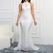 Women’s Clothing spring backless new style solid color trailing elegant slim party women's evening dress_ecoleips.com