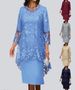 Verve 2025 New Plus Size Women's Evening Lace Embroidery Two-Piece Set Elegant Commuter Slim Dress_ecoleips.com