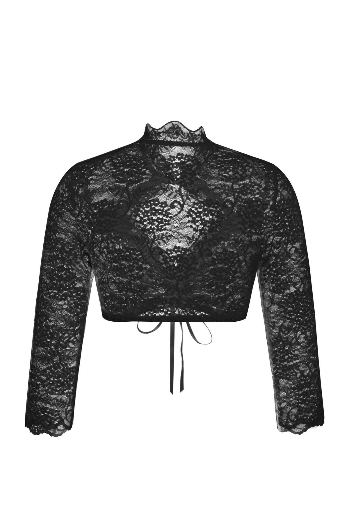 Chic Lace Trim V-Neck Blouse For Women - Breathable Polyester Blend, Figure-Flattering Fit, Perfect For Oktoberfest & Office_ecoleips.com