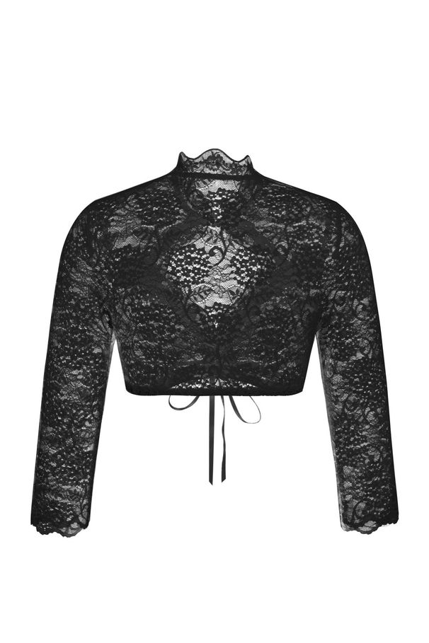 Chic Lace Trim V-Neck Blouse For Women - Breathable Polyester Blend, Figure-Flattering Fit, Perfect For Oktoberfest & Office_ecoleips.com