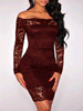 Lace Bodycon Dress – Off-Shoulder Elegance With Sheer Panels For Evening Glamour_ecoleips.com