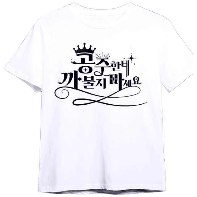 K-Girls T-Shirt “Don't Mess With Princess” Korean Slogan Graphic Tee Stylish White Top For K-Fashion Enthusiasts Y2K Tee Tops_ecoleips.com