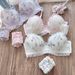 girl Long-term Japanese Style 3D Water-soluble Embroidery Cute Student Soft Cup Wireless Girl Push-up Comfortable Bra Set_ecoleips.com
