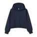 Women's Heavyweight Fleece Hoodie - 450GSM Silver Fox Plush Cropped Drop Shoulder Sweatshirt For Autumn & Winter - Streetwear Oversized Pullover_ecoleips.com