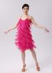 K New Adult Latin Dance Sequin Fringe Skirt Dance Dress Party Dress Stage Performance Dress Competition Dress_ecoleips.com
