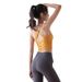 High Elasticity Fitness Sports Bra With Chest Pads Vest Slim Fit Beautiful Back Short Top Yoga Wear For Women Summer_ecoleips.com