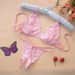 Women Lady Sexy Lingerie Lace Underwear Sleepwear G-string Lingerie Female Underwear Set Women's Bra Suit Комплект_ecoleips.com