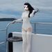 Aria Basics New One-Piece Swimsuit Conservative Tummy Covering Slimming Sleeve Long Pants Sun Protection Quick-Dry Snorkeling_ecoleips.com