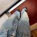 Vintage-Inspired Heavyweight Rhinestone Patchwork Jeans For Women – Star Studded & High-Waisted Wide-Leg Pants (S-XL)_ecoleips.com