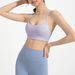 Women's Clothing Sports Bra Beautiful Back High Strength Shockproof Yoga Vest Running Fitness Bra_ecoleips.com