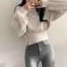 American-style Silver Fox Fleece Thickened Short Waist-cinching Hem Sweatshirt For Women, Autumn And Winter_ecoleips.com