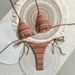Women's Clothing Color Block Stripe Bikini Set: Modern Two-Piece Swimsuit For Beach & Poolside Style_ecoleips.com