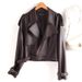 Aria Basics Cross-border Women's Jacket, Hot-selling Item, 25 New Styles, European And American Fashion, Versatile Trendy_ecoleips.com