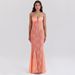 Women's Clothing Summer Hot Girl Sexy Lace Suspender Dress Female Slim Hip Fishtail Sleeveless Long Dress Female_ecoleips.com