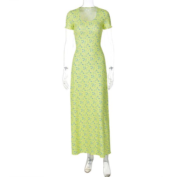 Hot-Selling Women's 2025 Summer New Fashion Printed U-Neck Back-Tie Short-Sleeve Dress Wholesale_ecoleips.com