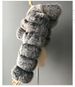 Women's Clothing Hooded Fox Fur Short Coat Long Sleeve Splicing Women's Jacket Large Size_ecoleips.com